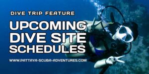 Diving Spots and dive trip schedules Pattaya Thailand