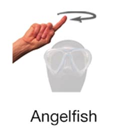 Angelfish - Marine Life Diving Hand Signals
