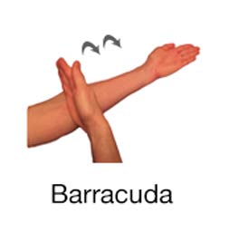 Barracuda - Marine Life Diving Hand Signals