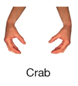 Crab - Marine Life Diving Hand Signals