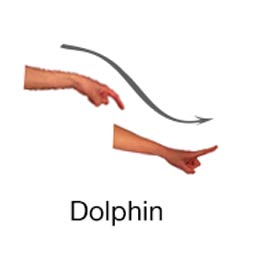 Dolphin - Marine Life Diving Hand Signals
