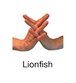 Lionfish - Marine Life Diving Hand Signals