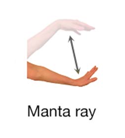 Manta Ray - Marine Life Diving Hand Signals