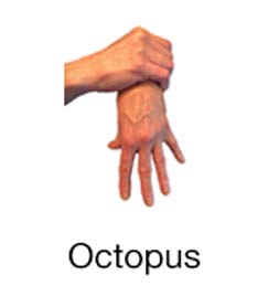 Octopus - Marine Life Diving Hand Signals