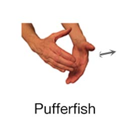 Pufferfish - Marine Life Diving Hand Signals