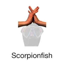 Scorpionfish - Marine Life Diving Hand Signals