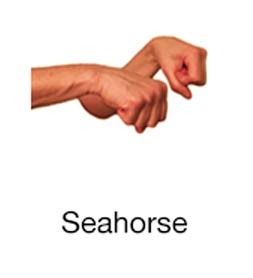 Seahorse - Marine Life Diving Hand Signals