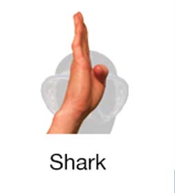 Shark - Marine Life Diving Hand Signals