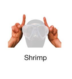 Shrimp - Marine Life Diving Hand Signals