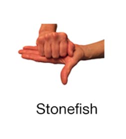 Stonefish - Marine Life Diving Hand Signals