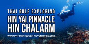 Thai Gulf Hin Yai Hin Chalarm Special Dive Event