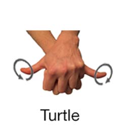 Turtle - Marine Life Diving Hand Signals